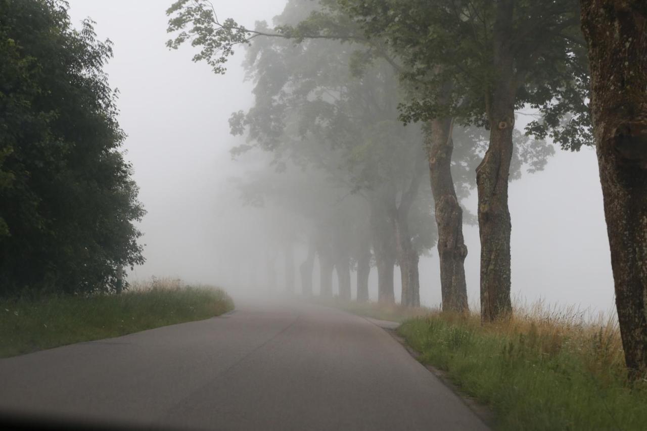Slowinskie Widoki Domki Flora, Fauna, Noclegi Smoldzinski Las Exterior foto