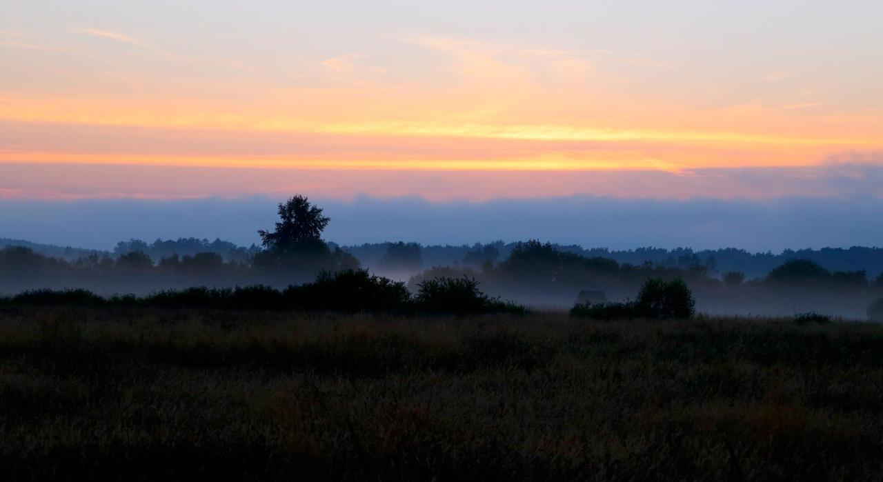 Slowinskie Widoki Domki Flora, Fauna, Noclegi Smoldzinski Las Exterior foto