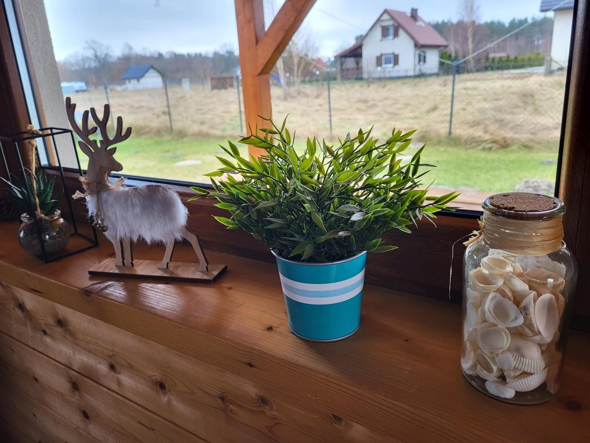 Slowinskie Widoki Domki Flora, Fauna, Noclegi Smoldzinski Las Exterior foto